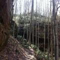 Martins Fork - 1